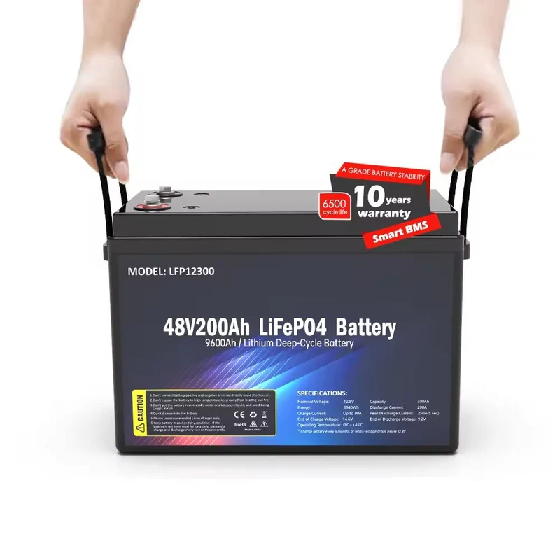 SS-48V200AH LiFePO4 9600wh Akku