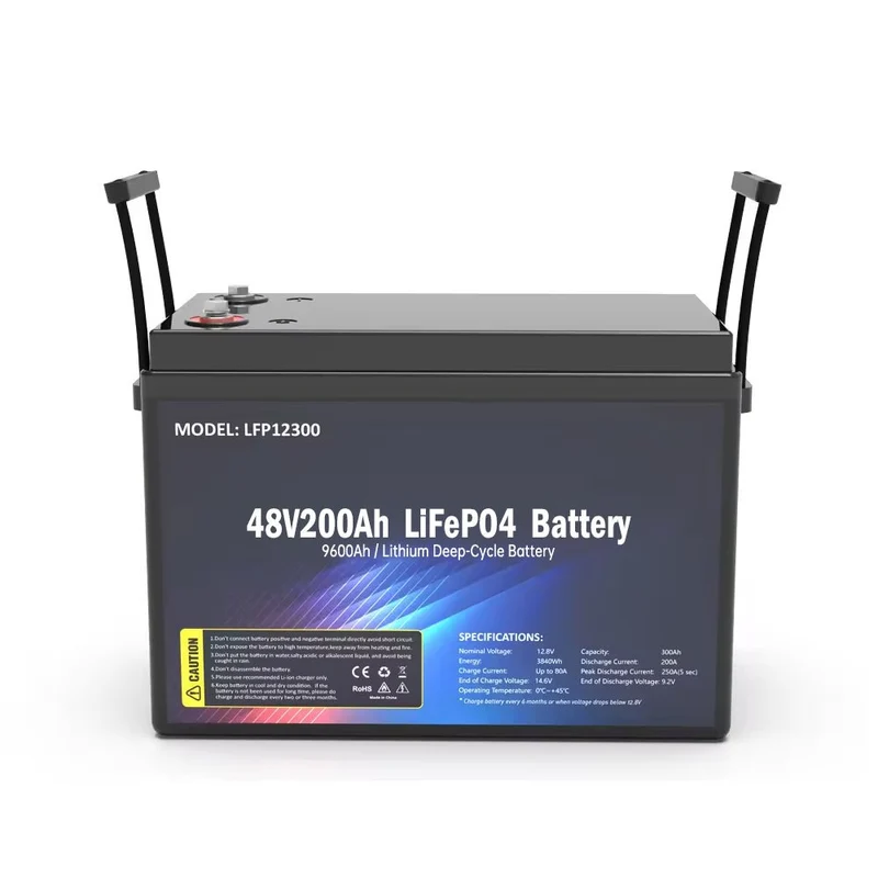 SS-48V200AH LiFePO4 9600wh Akku
