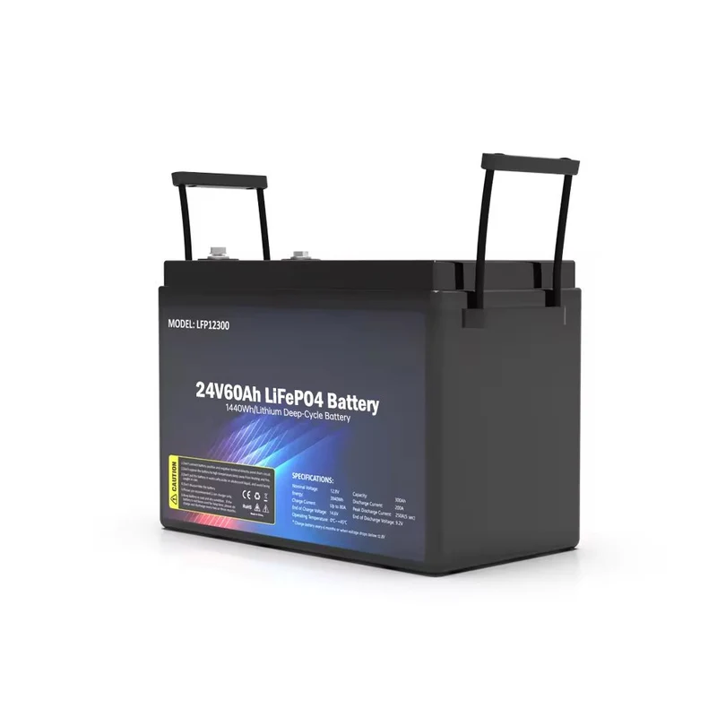 SS-24V60AH LiFePO4-Akku 1440WH