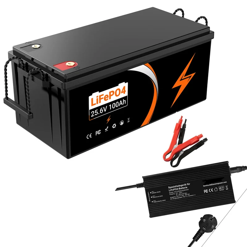 24V 100Ah LiFePO4 Akku Lithium-Eisenphosphat Batterie mit 100A BMS Ideal für Wohnmobil, Boot & Solar