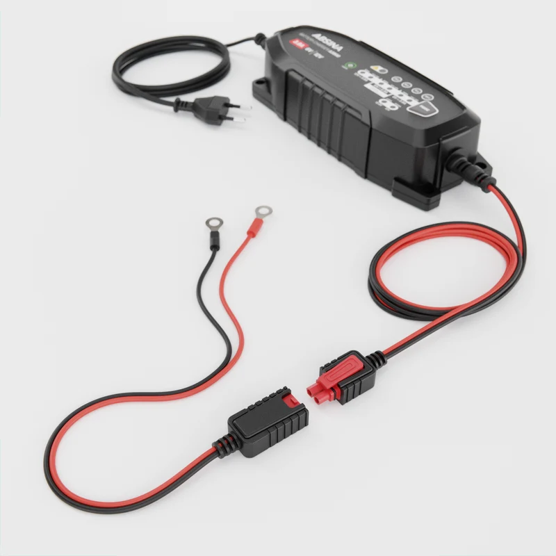 Batterieanschlusskabel mit Ringösen M6