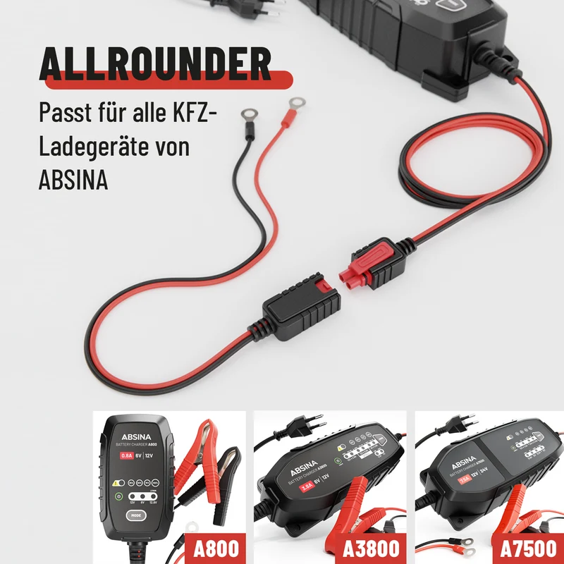 Batterieanschlusskabel mit Ringösen M6