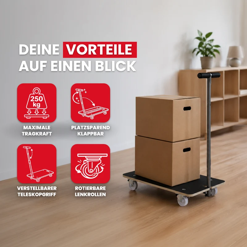 Profi Transporthilfe