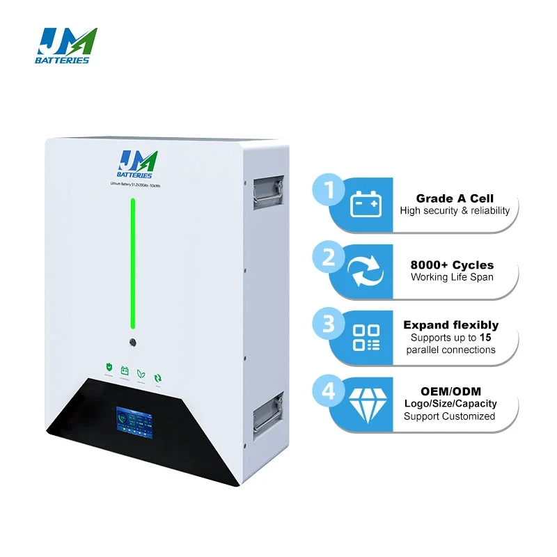 Jm Residential Storage Supplier Wall Mounted AA Lithium Ion Solar Battery for Powerwall Home Energy Storage System