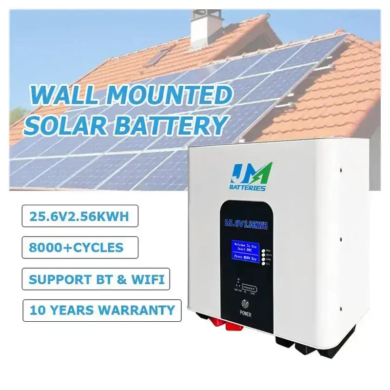 Long-Lasting Wall-Mounted Batteries 100Ah 200Ah and 300Ah Options Available Battery