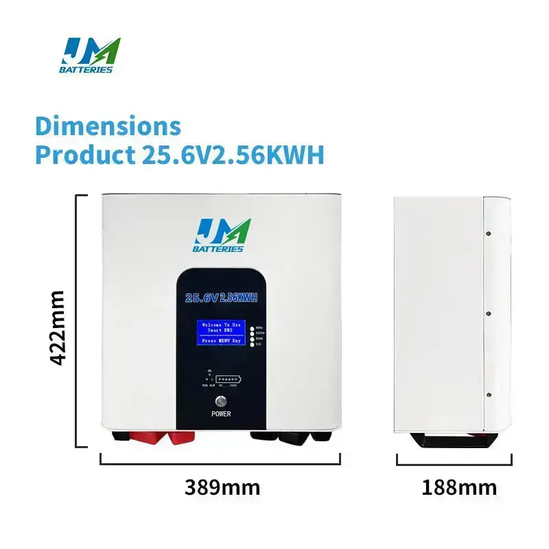 Long-Lasting Wall-Mounted Batteries 100Ah 200Ah and 300Ah Options Available Battery