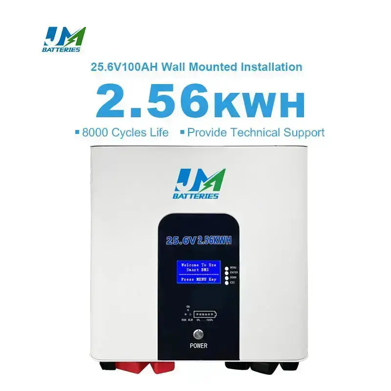 Long-Lasting Wall-Mounted Batteries 100Ah 200Ah and 300Ah Options Available Battery