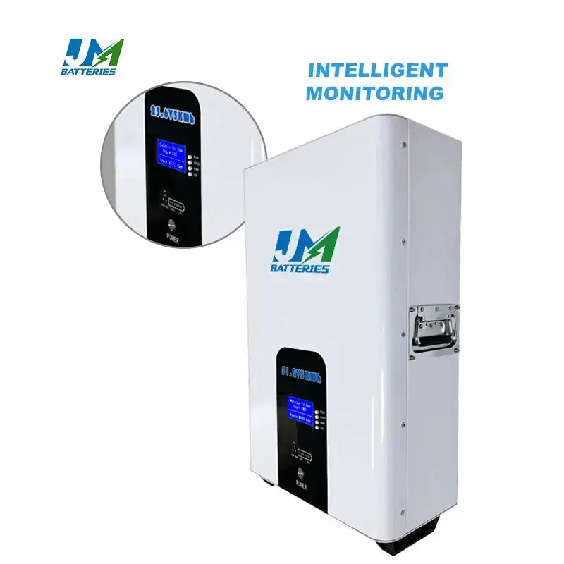 Top Quality Wall Mounted 51.2V Batteries 100AH 200AH Versions Available