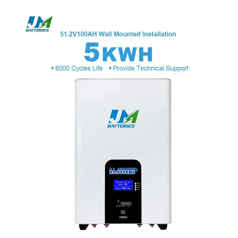 Top Quality Wall Mounted 51.2V Batteries 100AH 200AH Versions Available