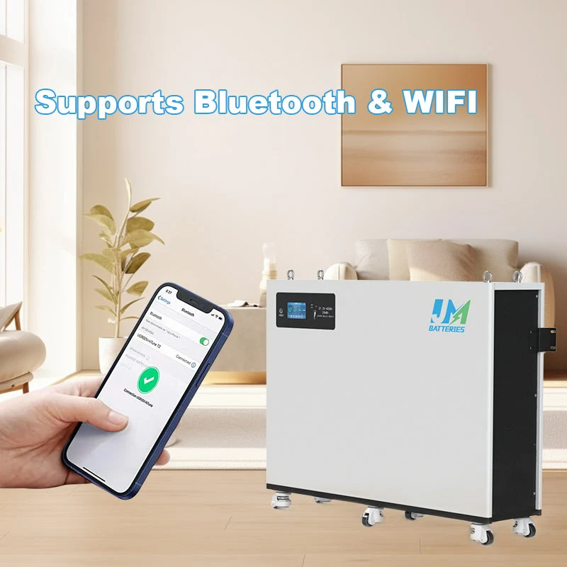 ‌Lithium Iron Phosphate Battery 48V 400Ah - BYD Cells with BMS, IP65 for Outdoor Use‌