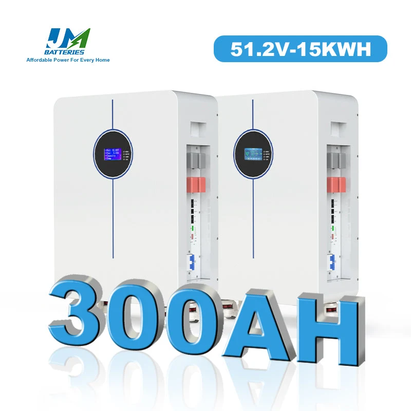Energy Storage Movable Battery 15kwh 51.2V 300ah Rechargeable 48V Lithium Ion Battery for Solar