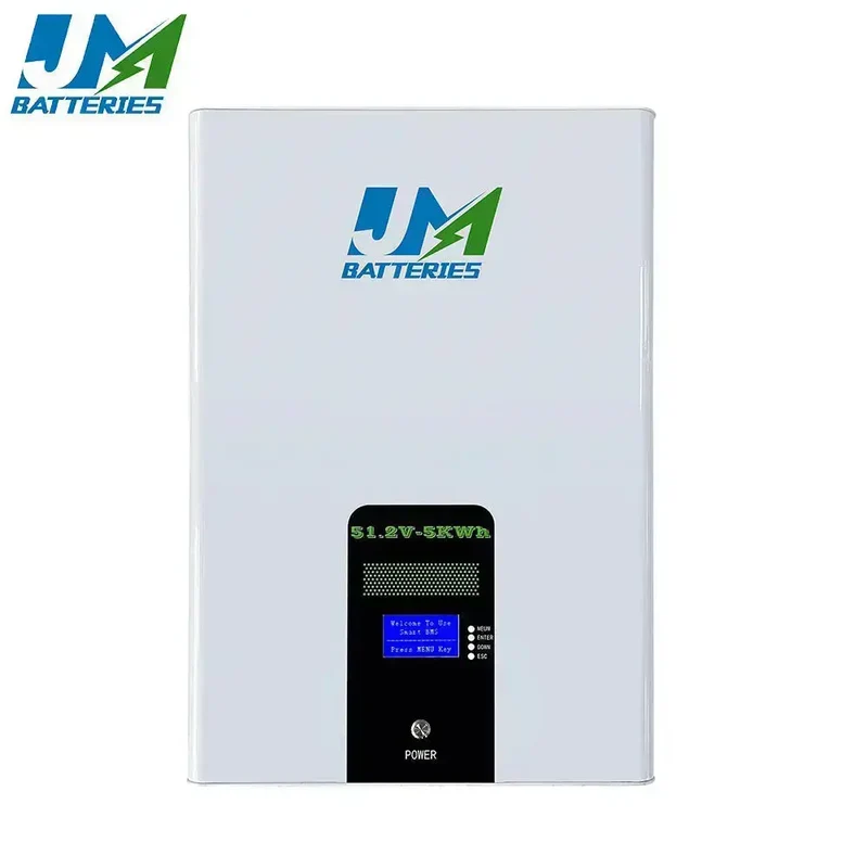 51.2V 100AH 200AH Lithium Ion Battery LiFePO4 Battery