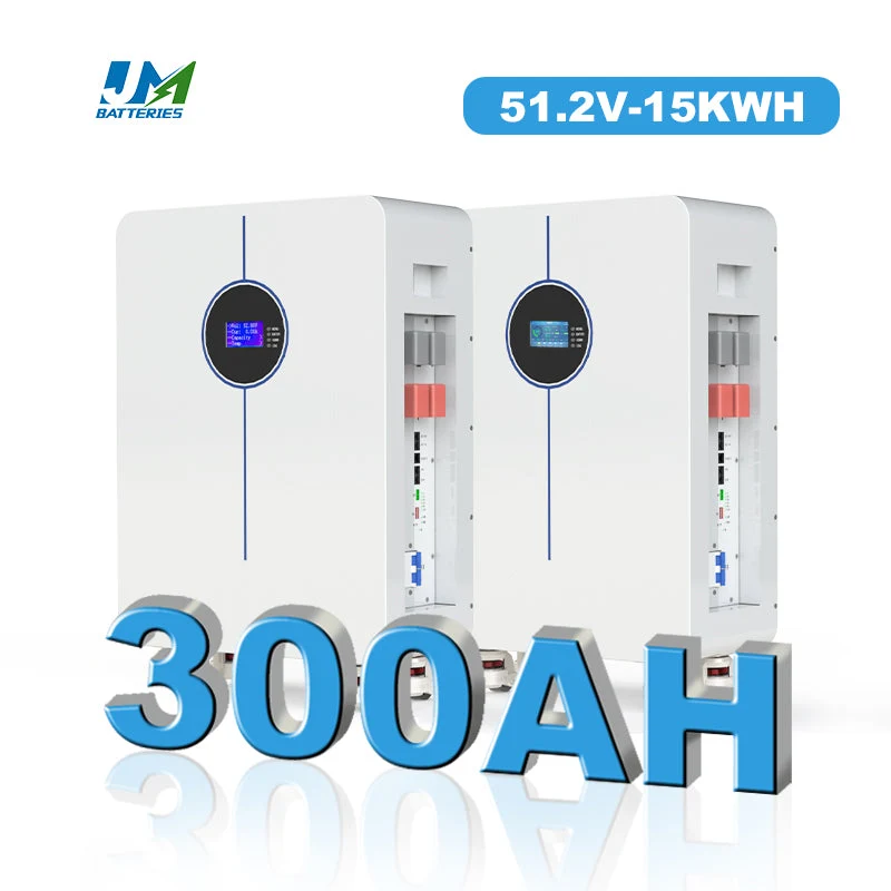 48V 51.2V 300ah Movable Battery Pack Phosphate LiFePO4 Battery Pack 15kwh Design Lithium Ion Battery Solar Panel