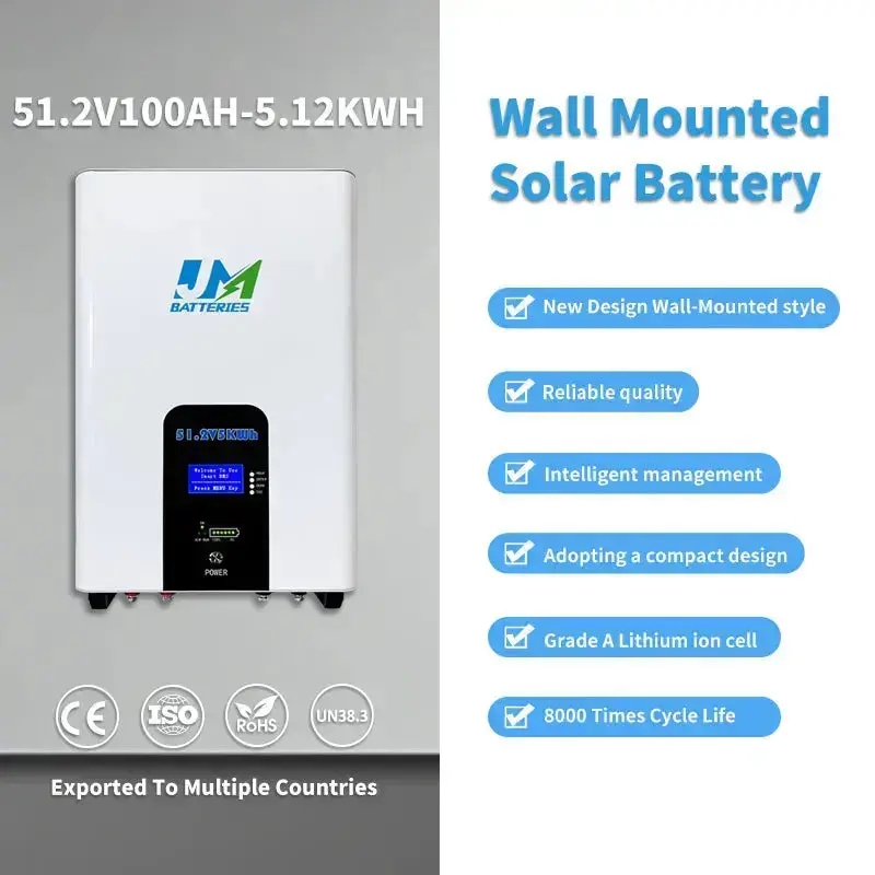 51.2V 100ah 200Ah Wall-Mounted Battery with Advanced Battery Management System Battery