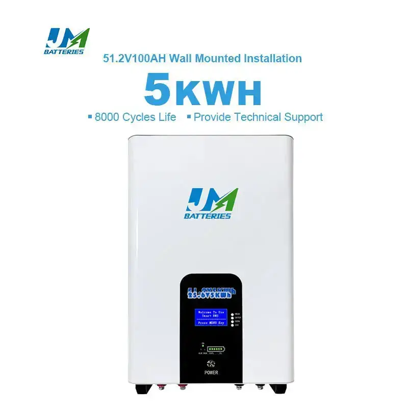 51.2V 100ah 200Ah Wall-Mounted Battery with Advanced Battery Management System Battery
