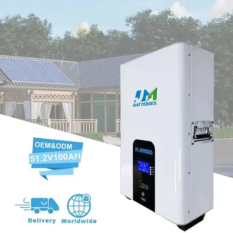 51.2V 100ah 200Ah Wall-Mounted Battery with Advanced Battery Management System Battery