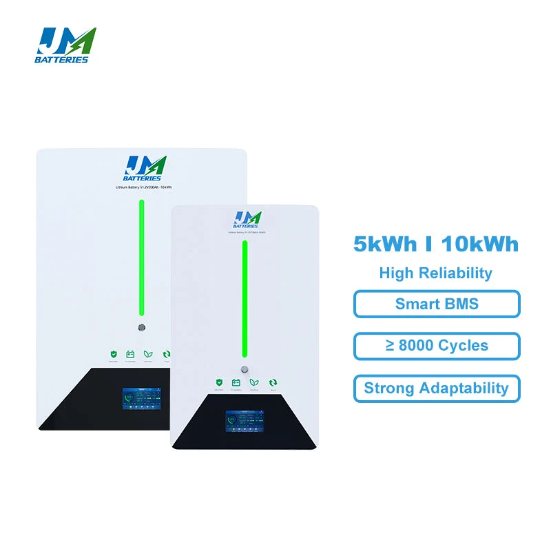48V 100Ah Home Energy Storage System 5 kw Battery Powerwall Baterie