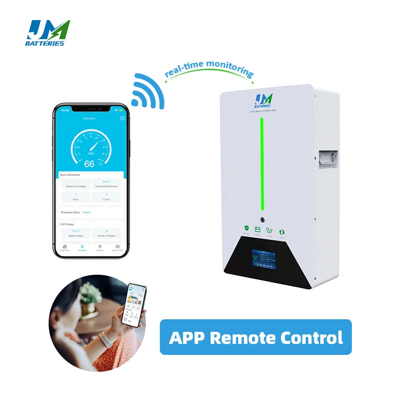 48V 100Ah Home Energy Storage System 5 kw Battery Powerwall Baterie