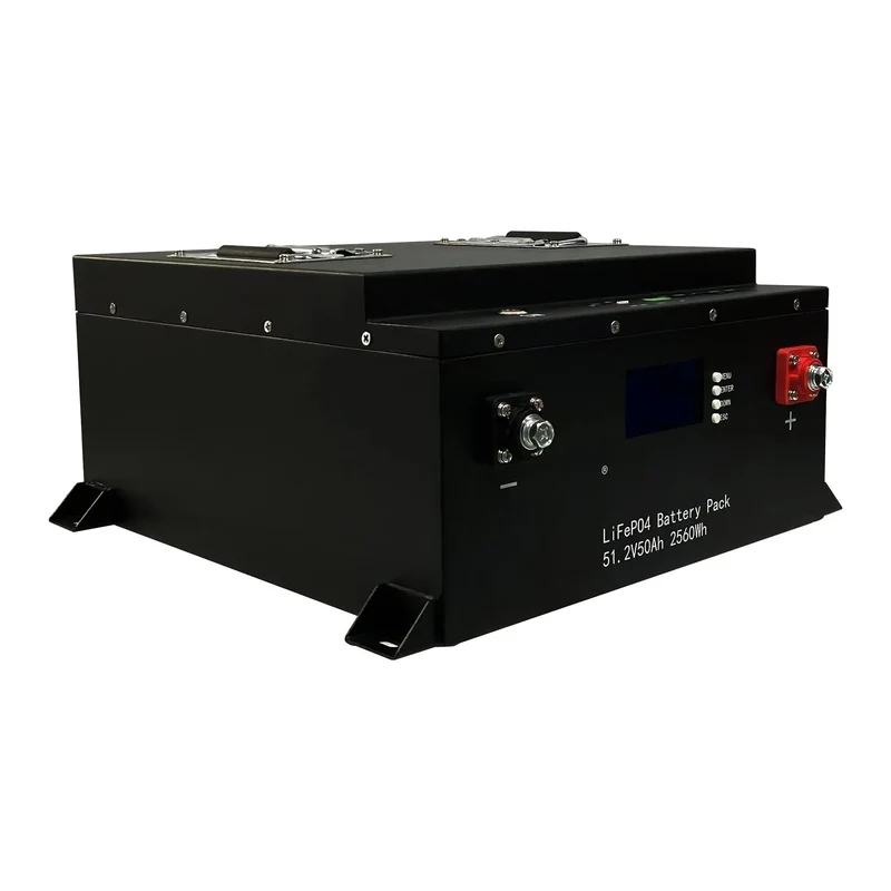 51.2V 50AH 100AH Rack Lithium Battery