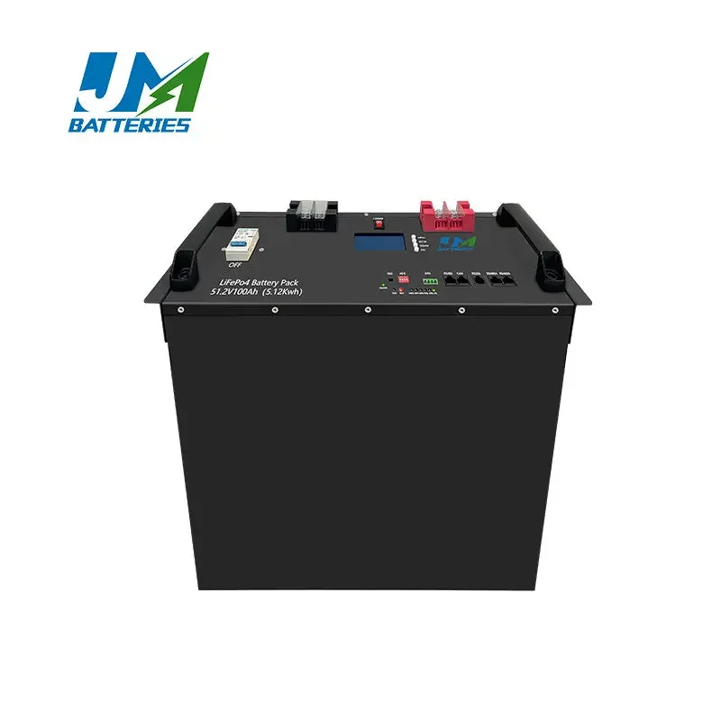 Lithium Ion Battery Pack LiFePO4 51.2V 100Ah