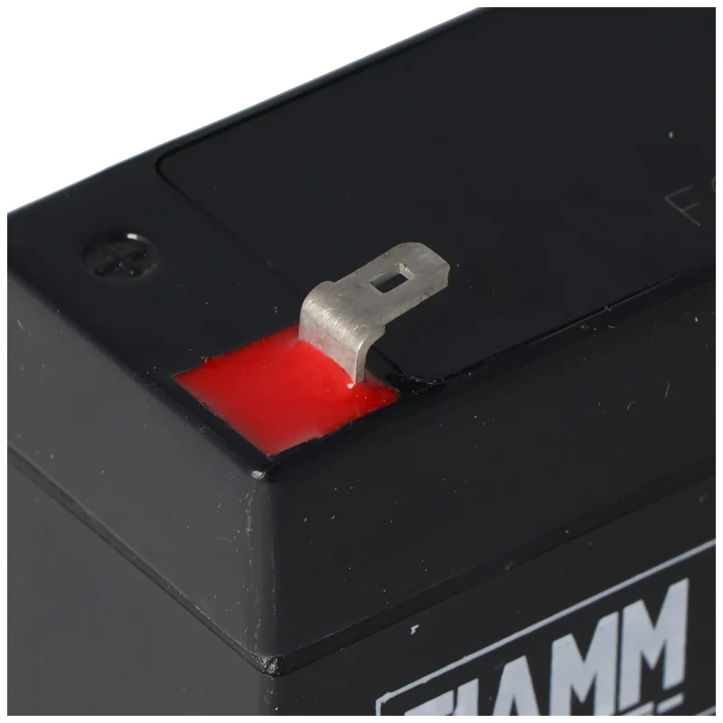 Fiamm FG10301 Blei Akku, 3,0Ah
