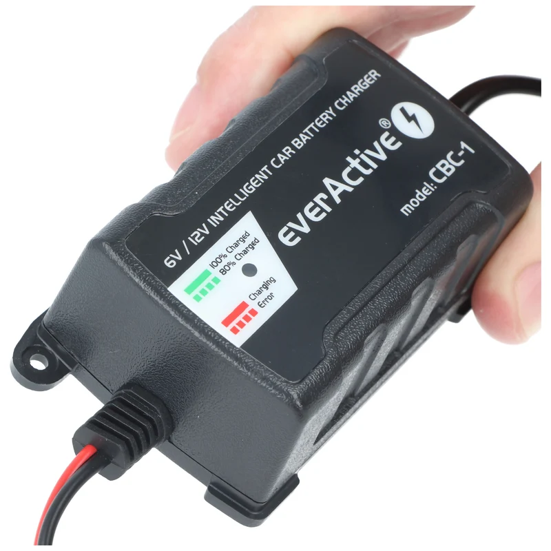 EverActive Ladegerät für 6 Volt und 12 Volt für Auto-, Motorrad-, Bleisäure-, PB, Gel, AGM Akku 2-24A